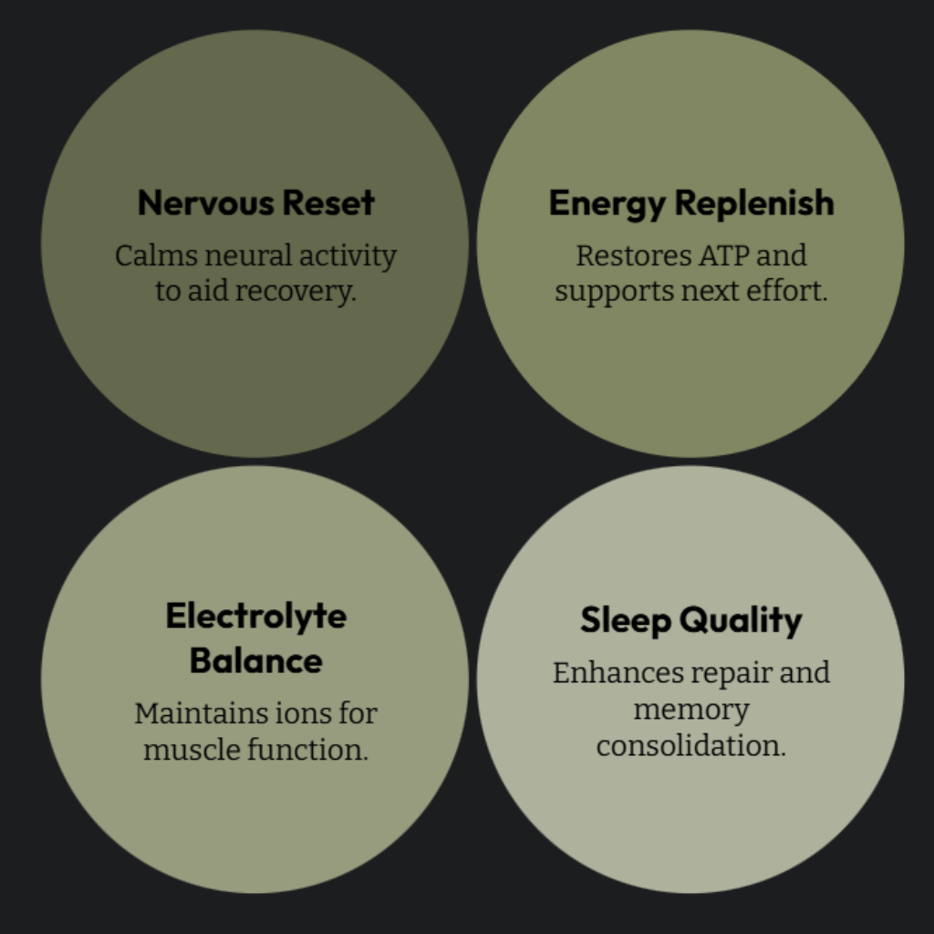 When it comes to muscle recovery, magnesium is one of the most underrated — yet most powerful — minerals in sports nutrition.