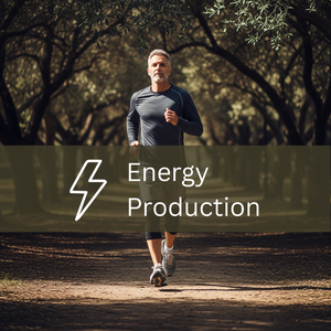 Magnesium Tri-Complex | Muscle, Sleep & Recovery